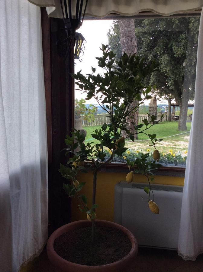 מלון גרוטאפראטה Borgo Della Molara מראה חיצוני תמונה