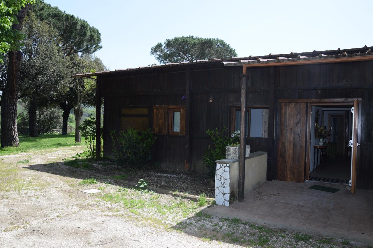מלון גרוטאפראטה Borgo Della Molara מראה חיצוני תמונה